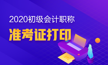 什么时候可以打印2020年海南初级会计准考证？